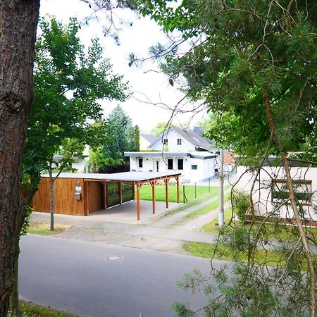 Haus Kleiner Findling Im Lausitzer Seenland Tätzschwitz Eksteriør bilde